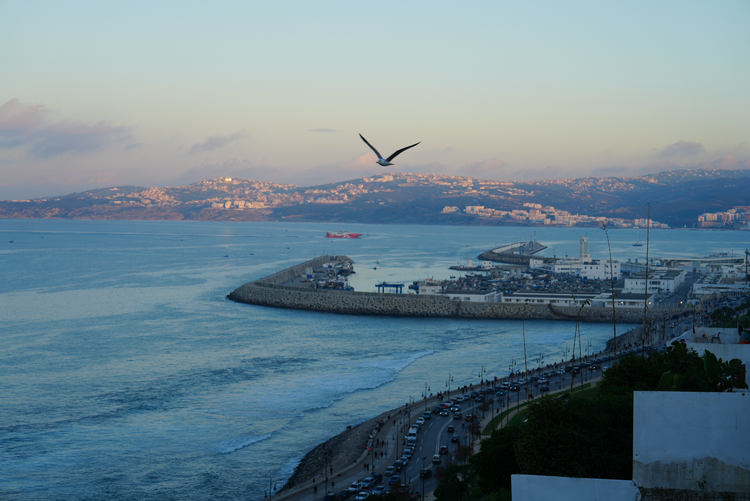 摩洛哥丹吉尔古城：海滨港口的多样色彩（组图）_fororder_6