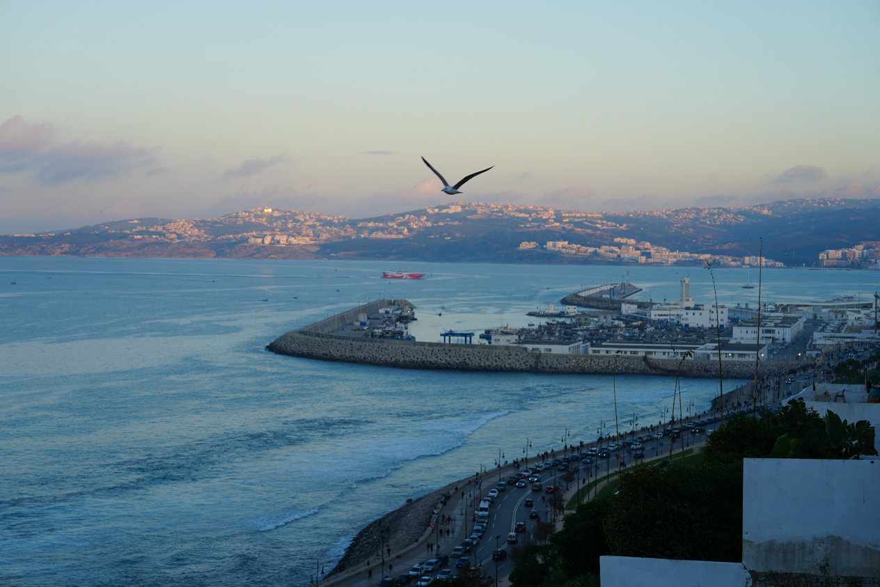 摩洛哥丹吉尔古城：海滨港口的多样色彩（组图）_fororder_6