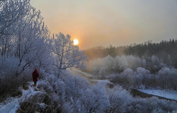 既然來了黑龍江 到遜克大平臺領略霧凇 才算不虛此行!