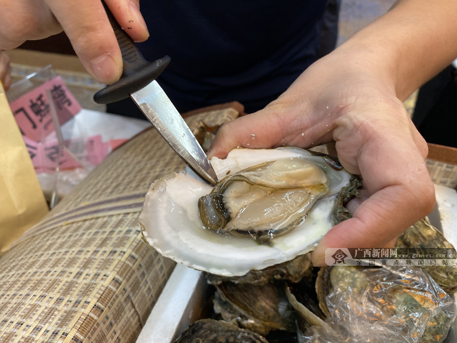 钦州蚝情节系列活动10月29日开启 活动详细安排表出炉