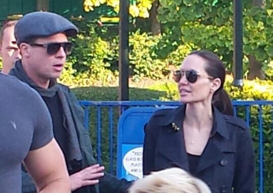 皮特离婚至今2周 被曝以泪洗面向双亲求安慰