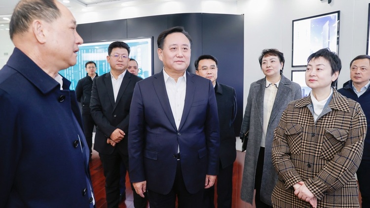 上海松江区领导调研工业园区二次开发转型 聚焦新质生产力发展