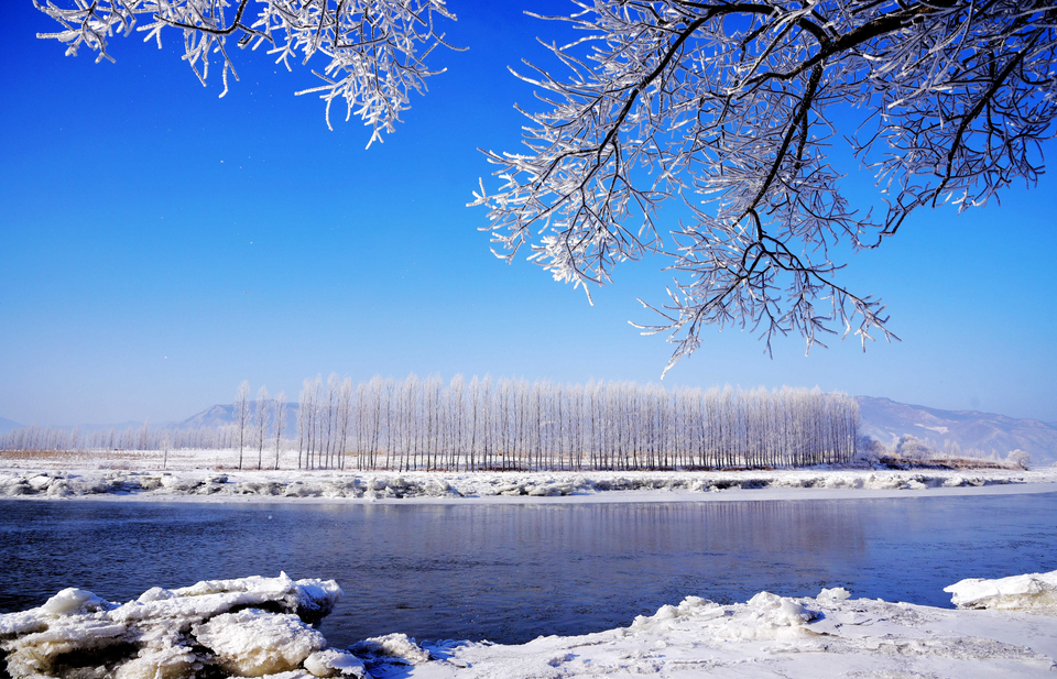 玉樹冰花，限時美景！冬日的霧凇谷竟然呈現出了夢幻美景！_fororder_微信圖片_20240103145628