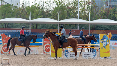 The last batch of horses for 7th CISM Military World Games Arrives in Wuhan_fororder_赛事报道1