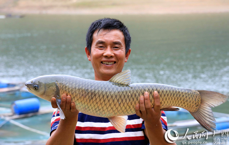 柳州融安：刘文香的养鱼脱贫路