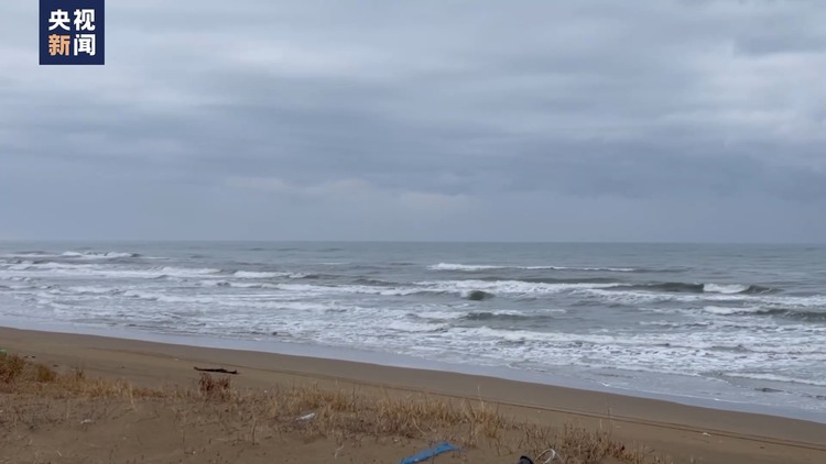 “黄金救援72小时”已过 日本地震救援仍在继续