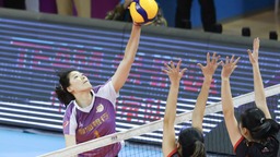 女排超级联赛：天津胜上海夺第16冠