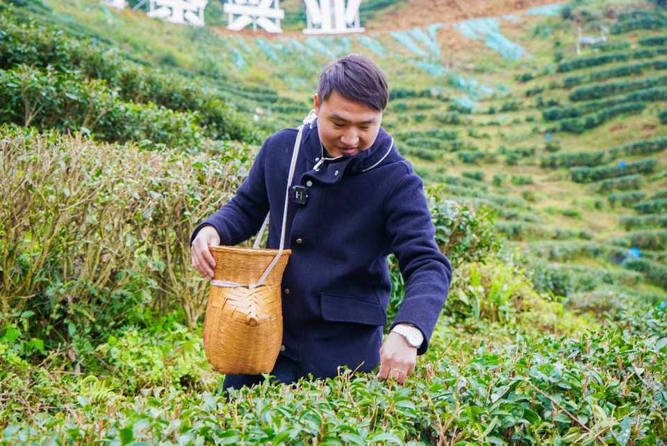 广西兴业：做强富硒茶产业 打响“兴业茶”品牌_fororder_图片2