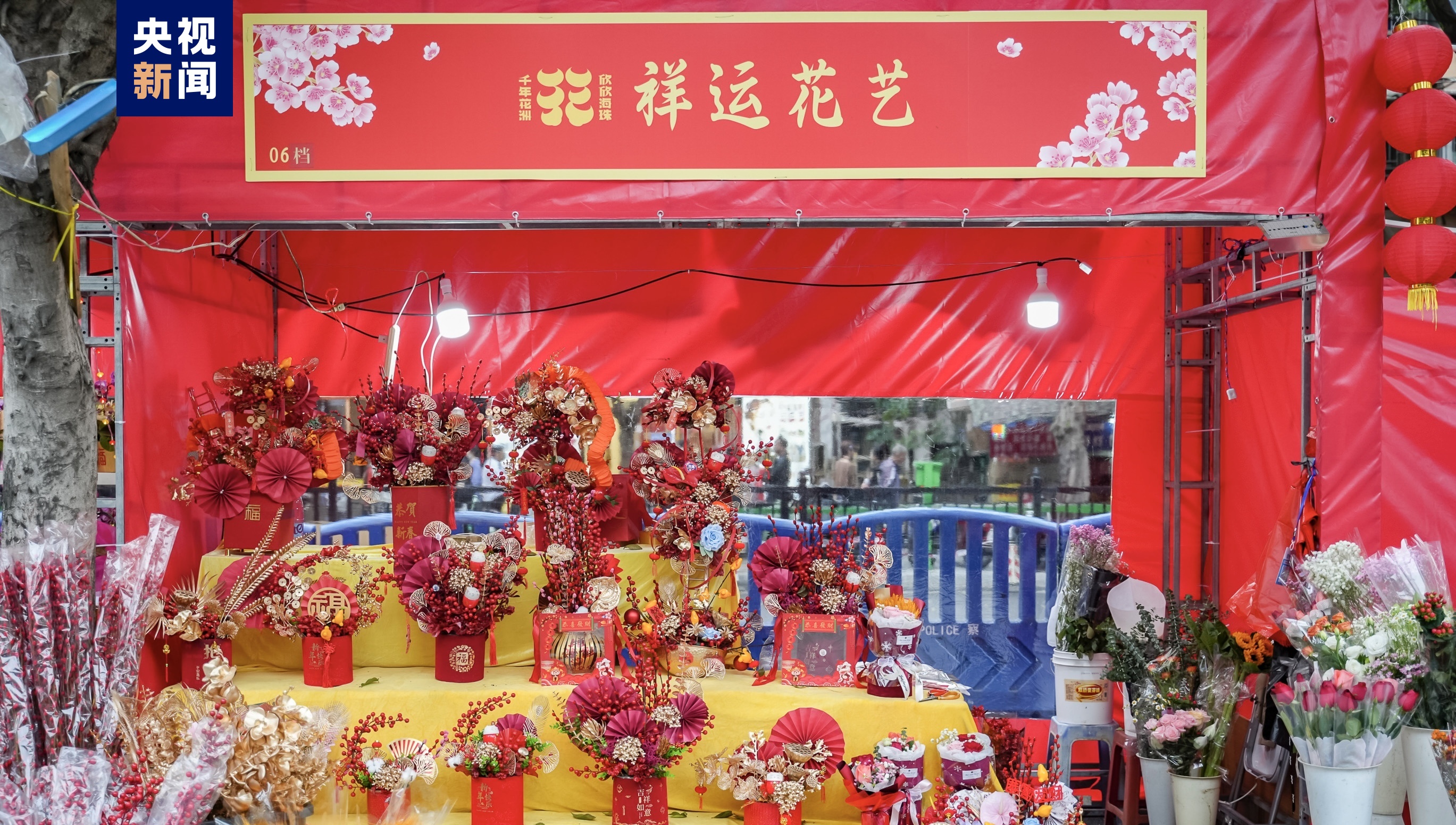 写意春天里 湾区花正开