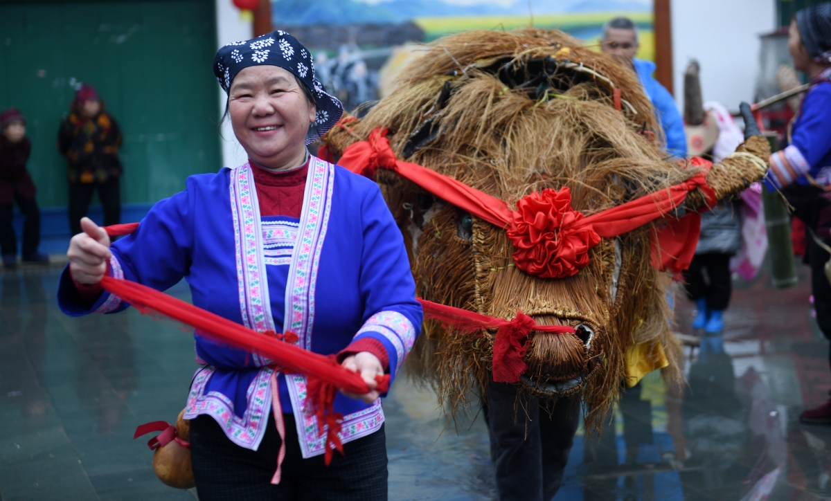 广西龙胜：春牛闹春祈丰收_fororder_2月4日，在广西桂林市龙胜各族自治县平等镇广南村，侗族民众在“闹”春牛。 (7)_副本