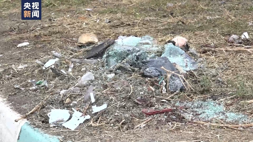 极端组织宣称对伊朗克尔曼爆炸事件负责 伊朗总统：必将幕后黑手绳之以法