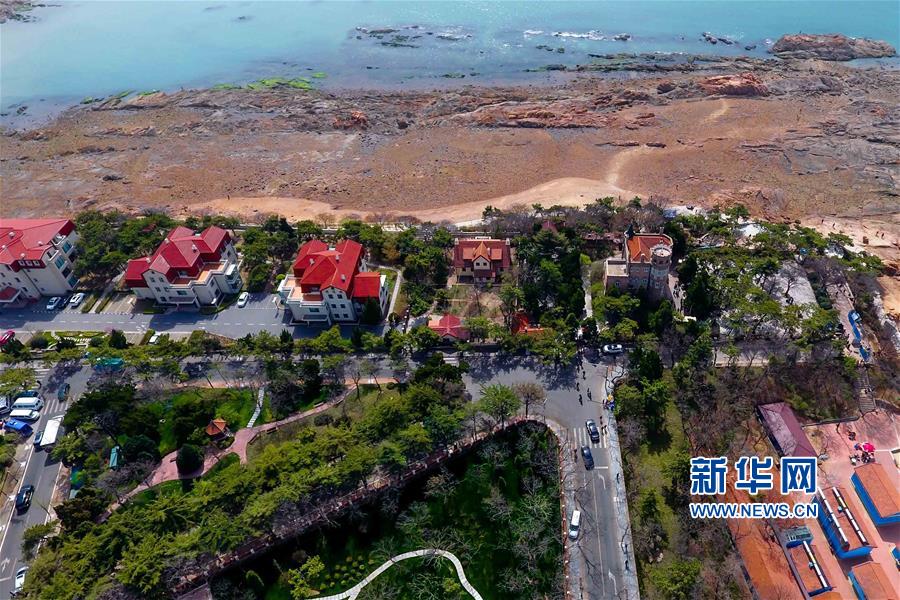 山东:春到青岛八大关 山东:春到青岛八大关