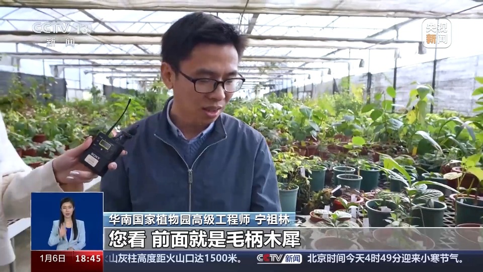 一问到底丨国家植物园批复设立满两年 成绩单来啦！