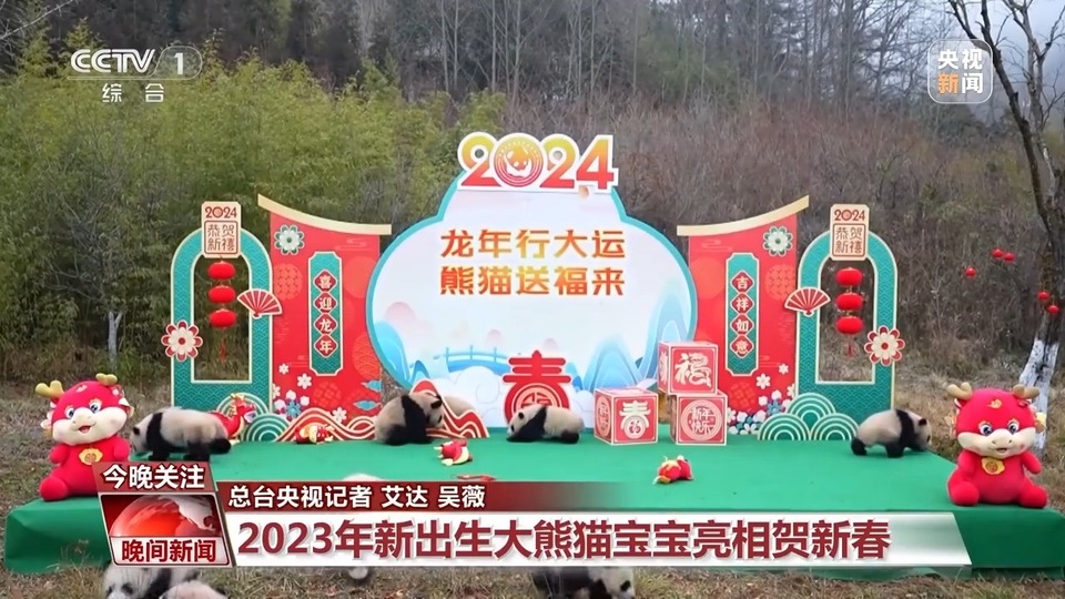 图片默认标题_fororder_0acabe88ebf34472a5509db15328cc74