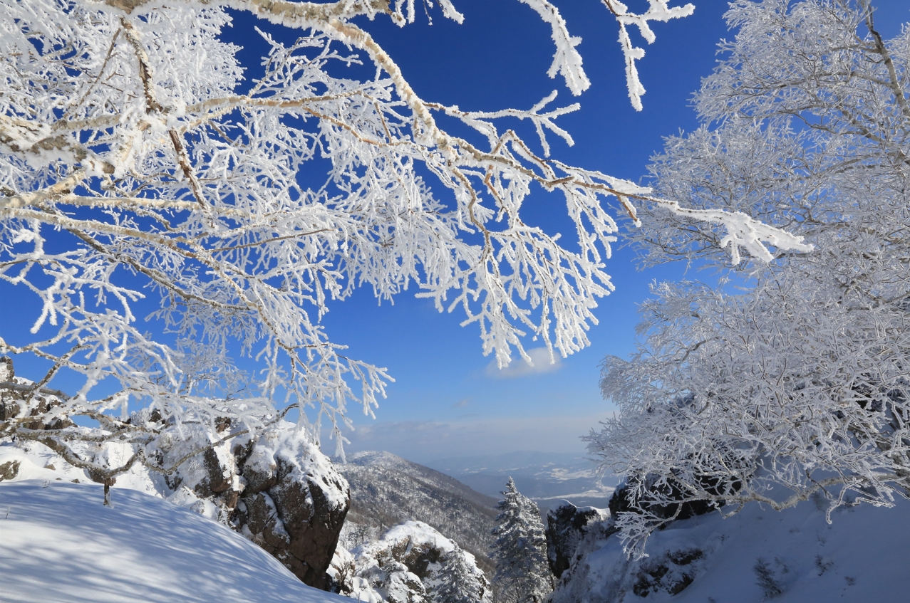 高山霧凇