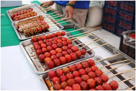 第五屆國際美食文化展在桂林瓦窯小鎮開幕