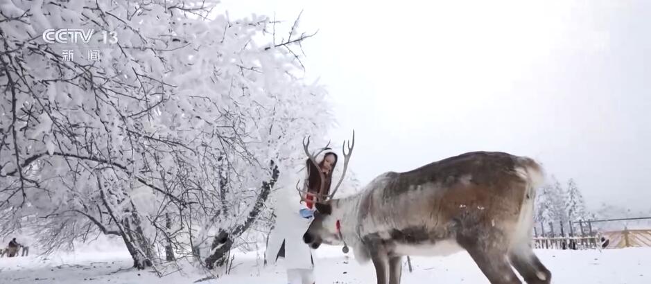 花样文旅“卷起来”！黑吉辽现在好极了，嘎嘎香