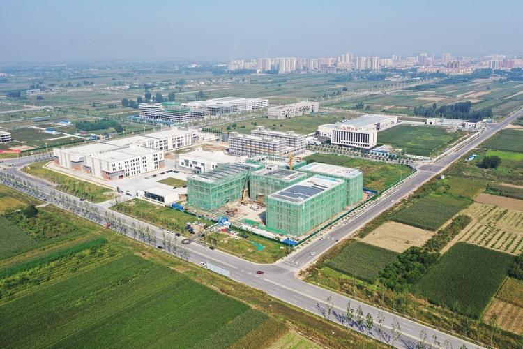 图片默认标题_fororder_005