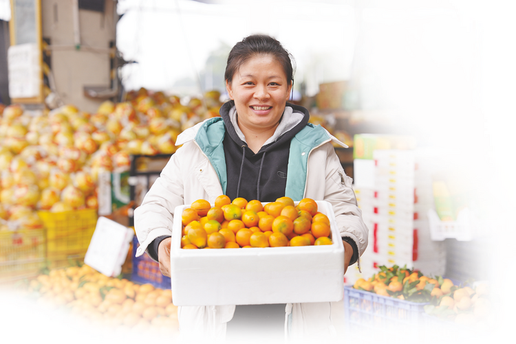 桂字号”柑橘品种不少 你能分得清谁是谁吗？