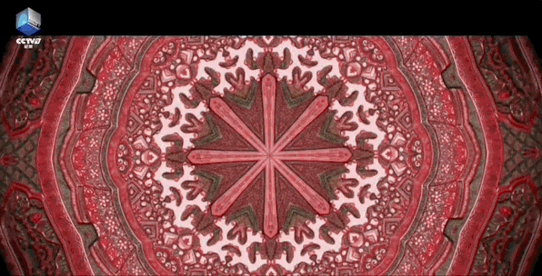 《如果国宝会说话》集齐100集，你是什么样的龙？