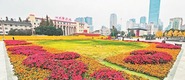 （轉載）公園城市冬日“新花樣”：258萬盆花卉扮靚成都街頭