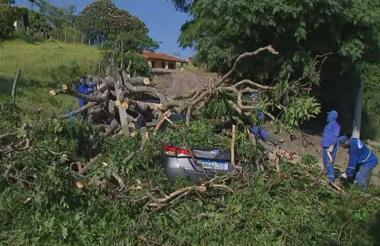 巴西圣保罗州遭遇强风暴天气 至少1人死亡4人受伤