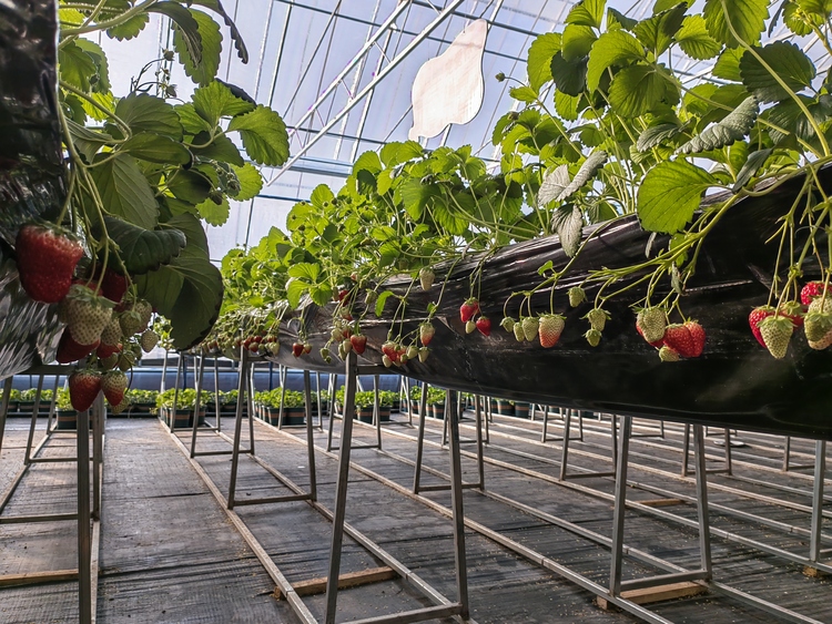 綏芬河市綏東村：打好組合拳 繪出鄉村振興新畫卷_fororder_微信圖片_20240111164519