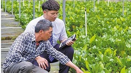 把网点服务窗口搬到农民家门口  去年前三季度广东县域保险保障金额同比增长81.13%、县域贷款余额达1.48万亿元