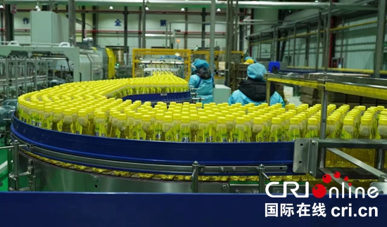 贵州聚焦“四化”打造百亿级特色优势刺梨产业集群_fororder_刺梨3