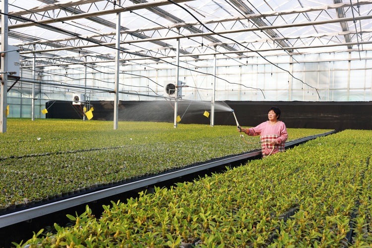 图片默认标题_fororder_006