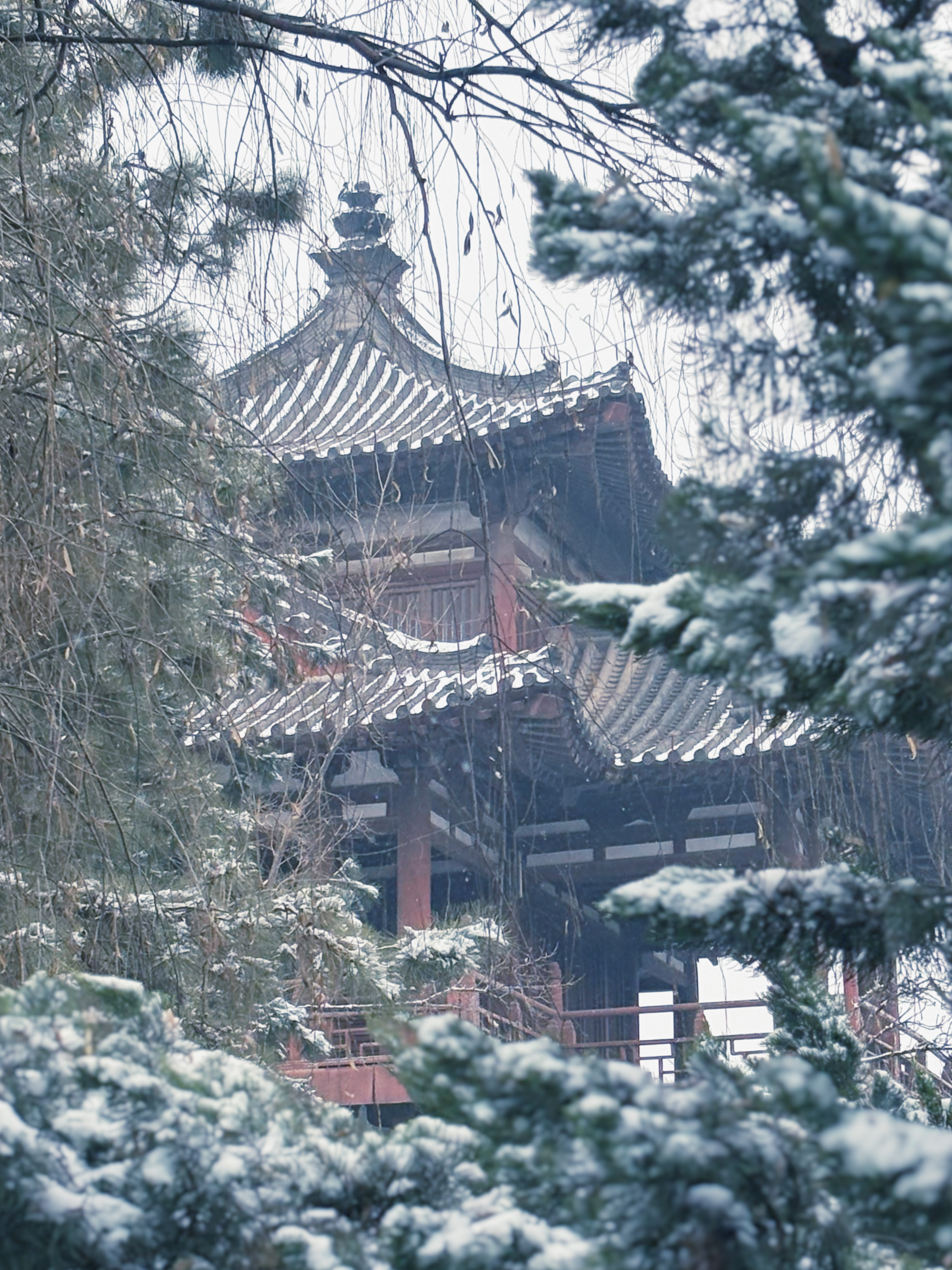 【镜观陕西】西安雪景上线 每一帧都想收藏_fororder_微信图片_20240115170812