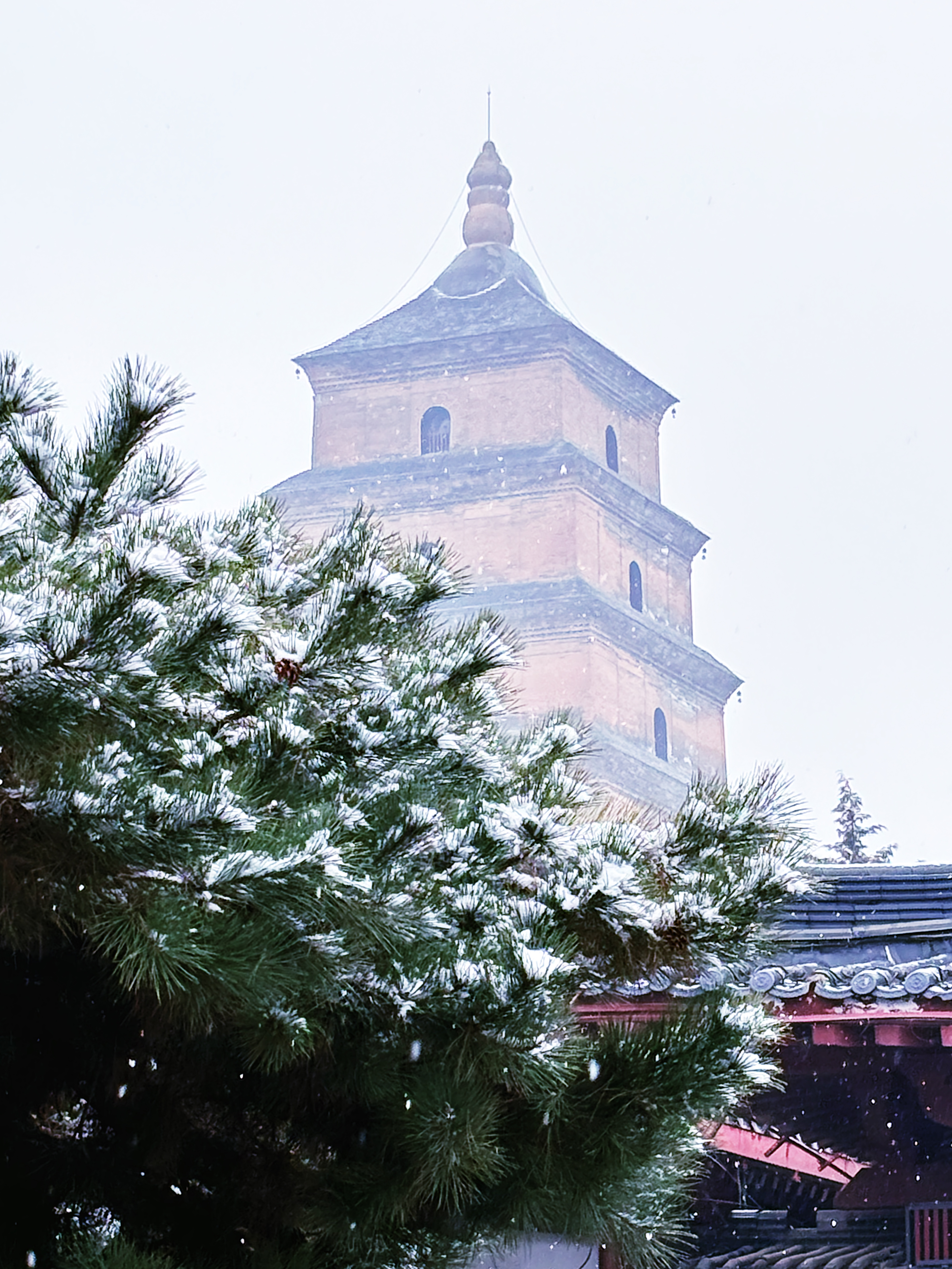 【镜观陕西】西安雪景上线 每一帧都想收藏_fororder_微信图片_20240115170655