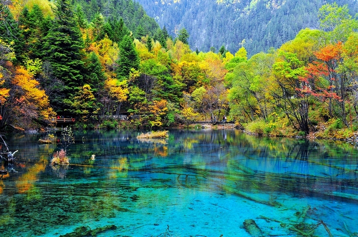 图片默认标题_fororder_VCG41158394499