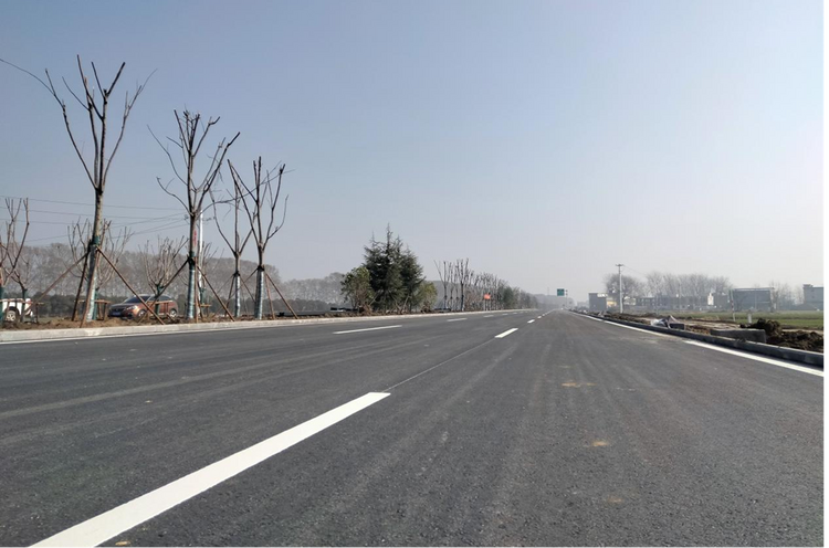 蚌埠固镇：“回家的路就更敞亮了”政府兑现承诺 代表满意作答_fororder_图片3