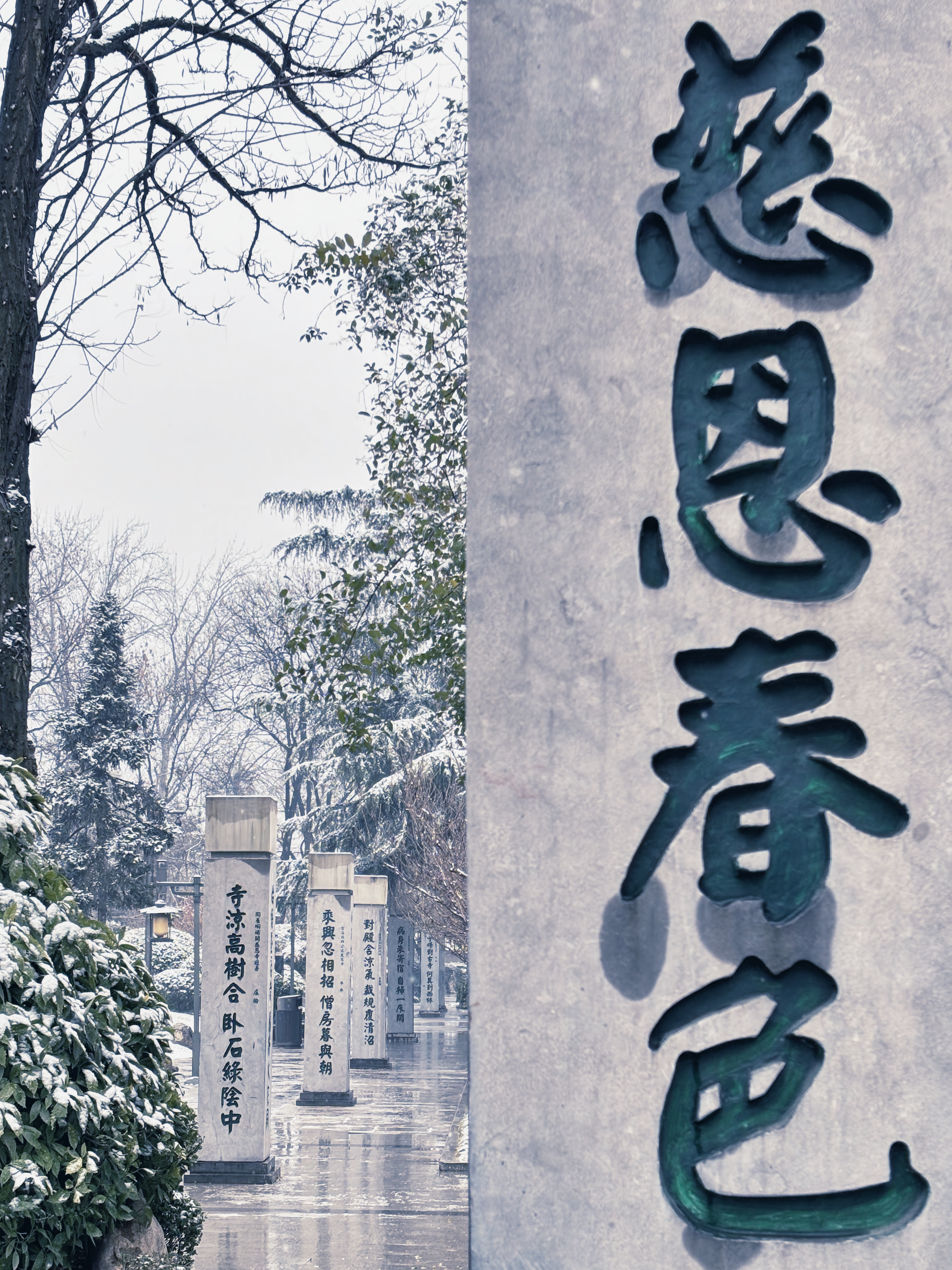 【镜观陕西】西安雪景上线 每一帧都想收藏_fororder_微信图片_20240115170717