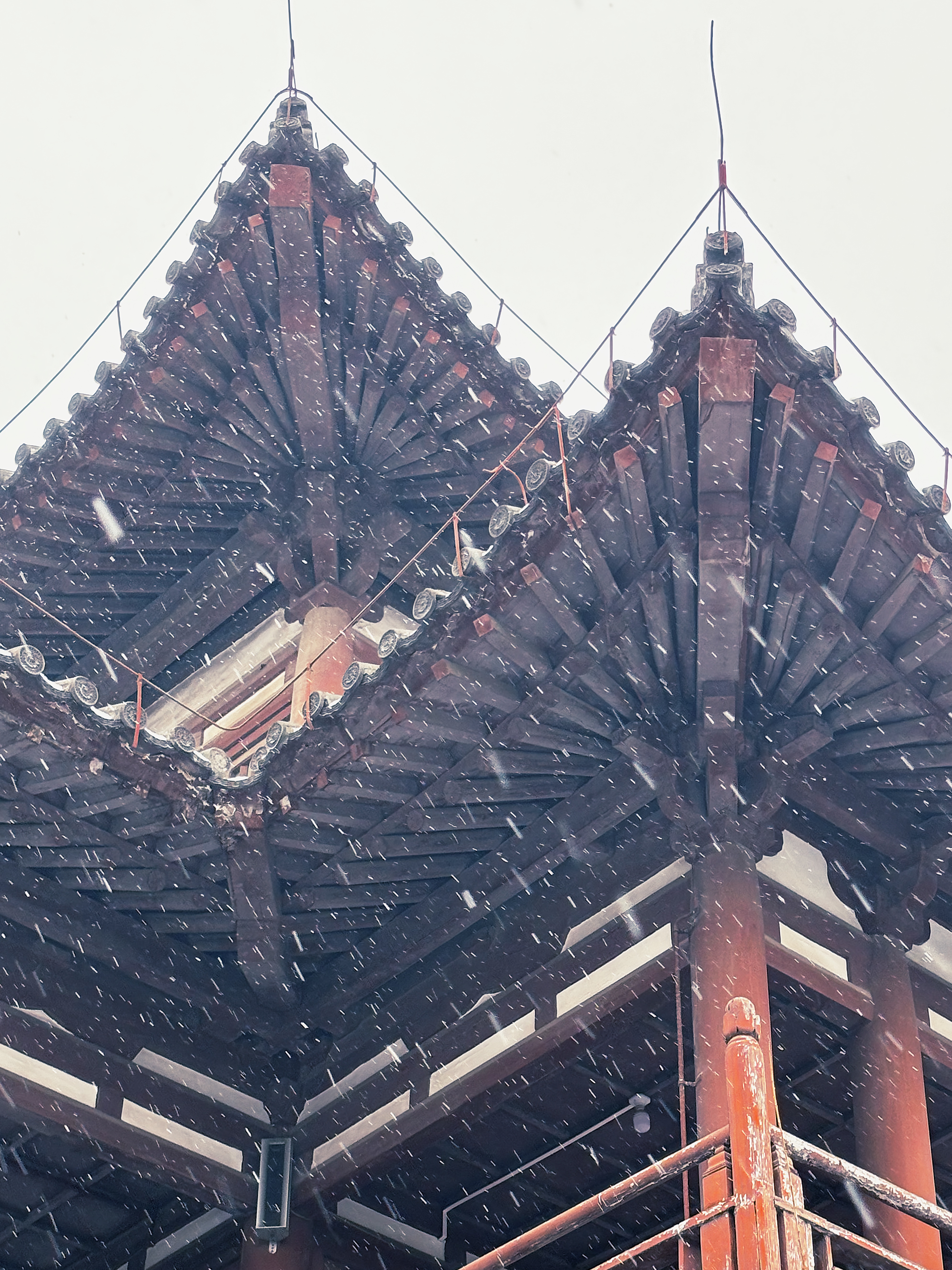 【镜观陕西】西安雪景上线 每一帧都想收藏_fororder_微信图片_20240115170819