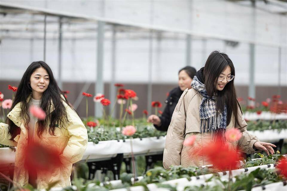 湖北省农科院向公众开放花卉科研基地