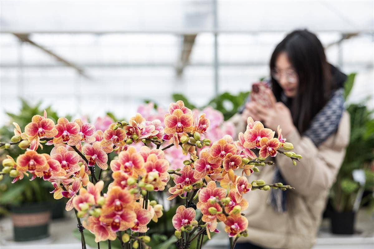 湖北省农科院向公众开放花卉科研基地