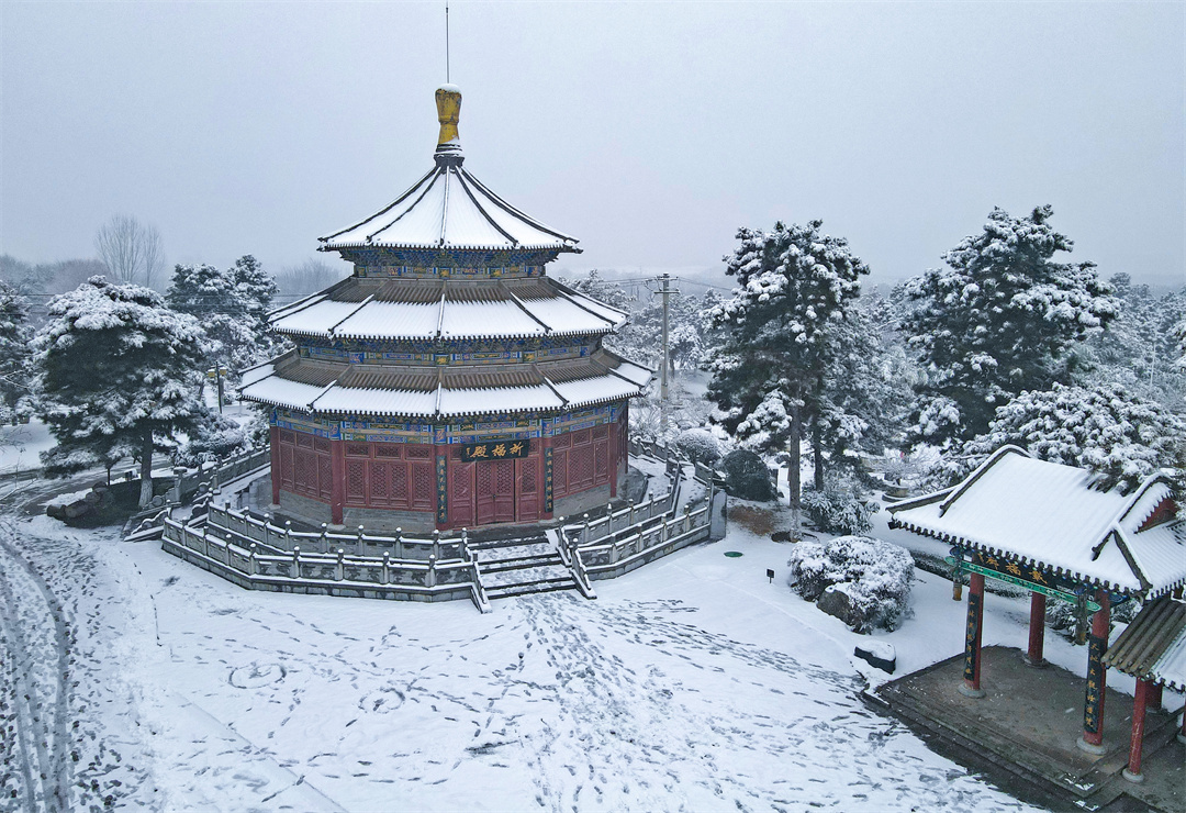 雪后唐苑宛如水墨画