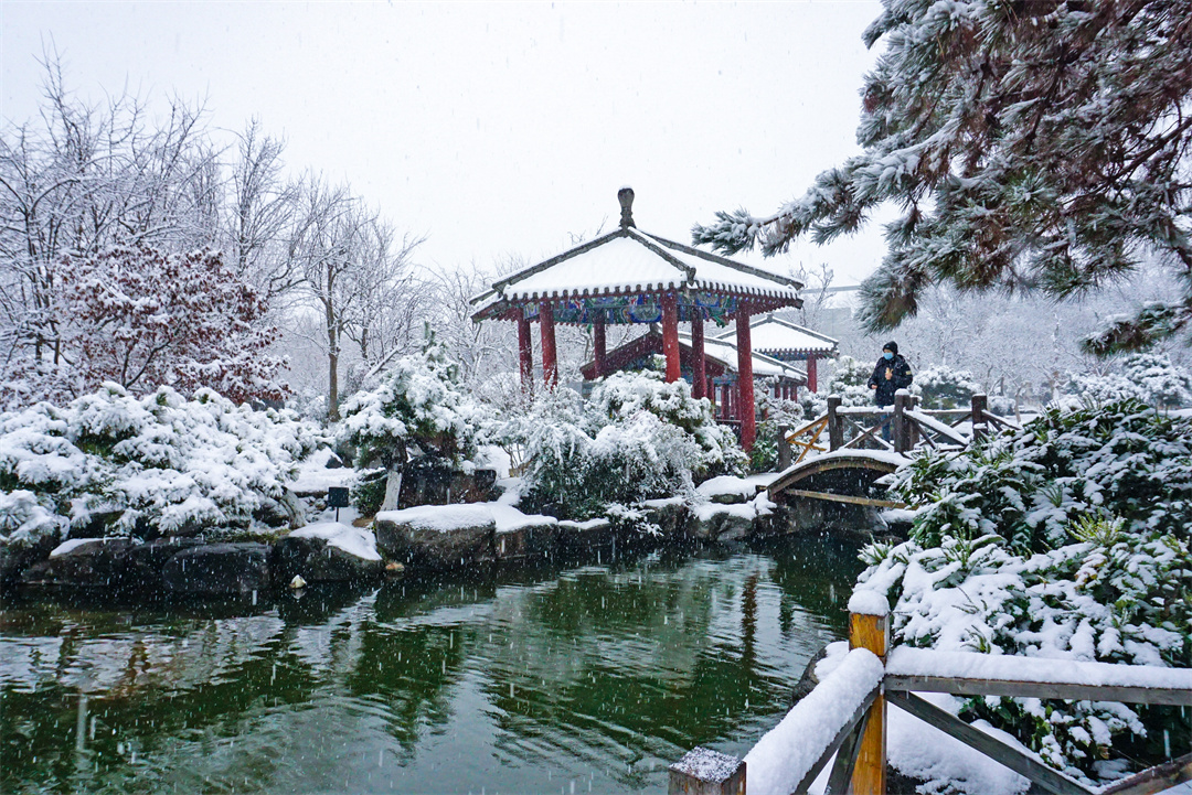 雪后唐苑宛如水墨画