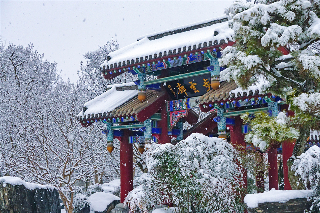 雪后唐苑宛如水墨画