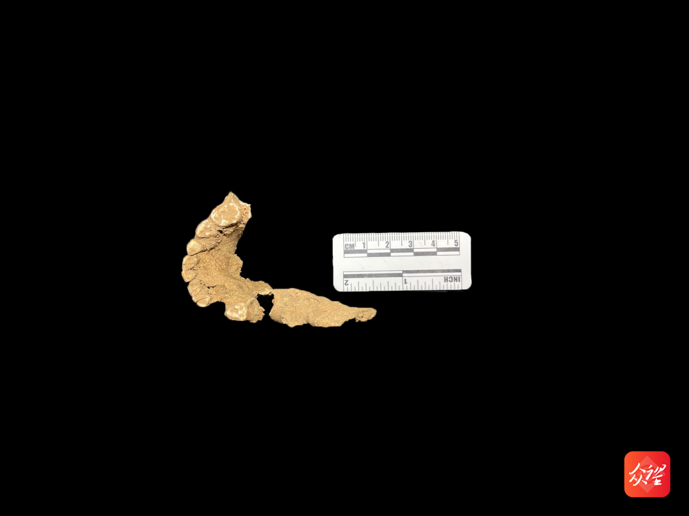 贵州普定穿洞发布重要考古成果：遗址人类活动史向前推进至少5.5万年前