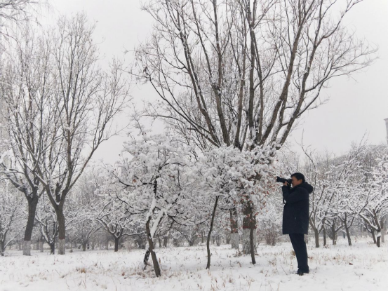河北威县：公园雪景美如画_fororder_河北威县公园雪景美如画114