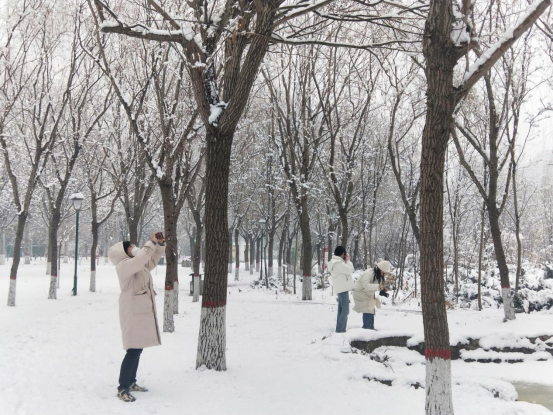 河北威县：公园雪景美如画_fororder_河北威县公园雪景美如画180
