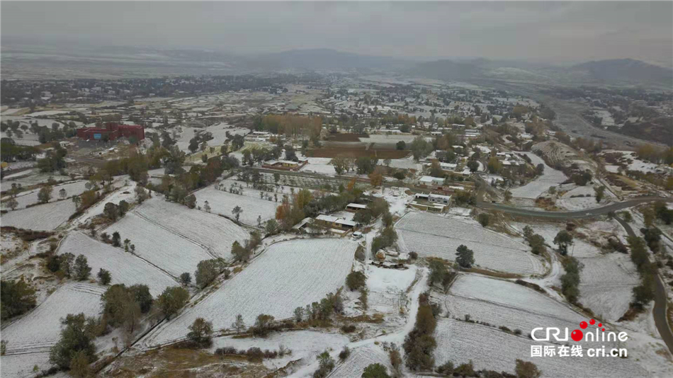 【2019中外媒体走进新疆】新疆有个画家村