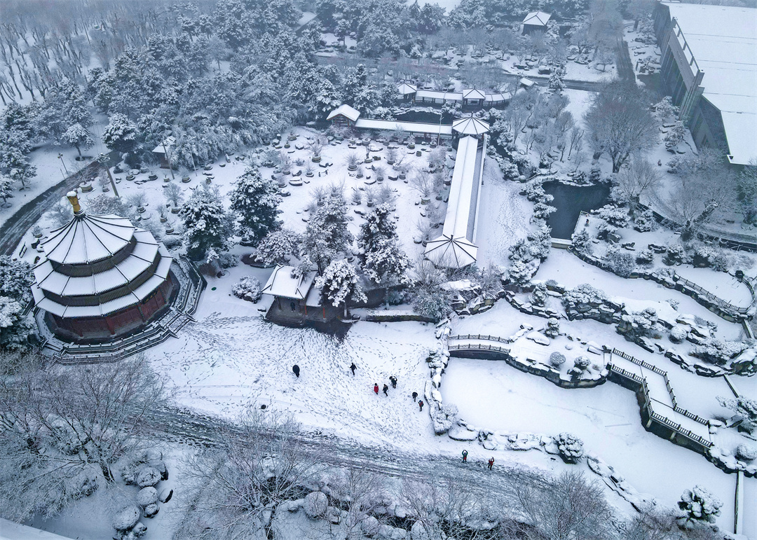 雪后唐苑宛如水墨画