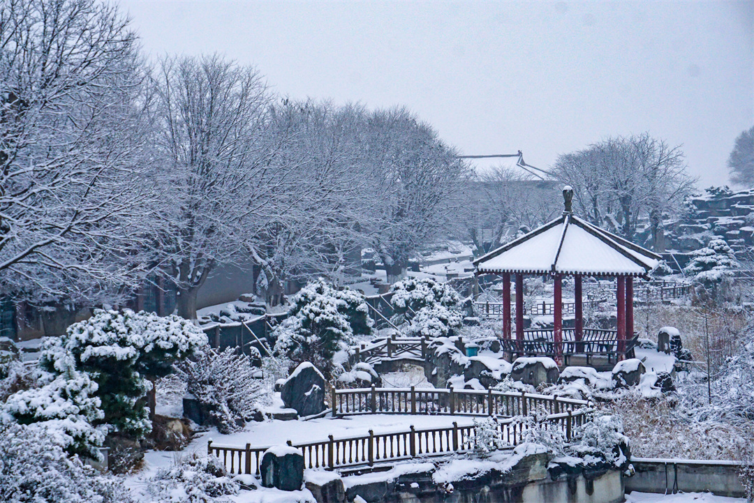雪后唐苑宛如水墨画