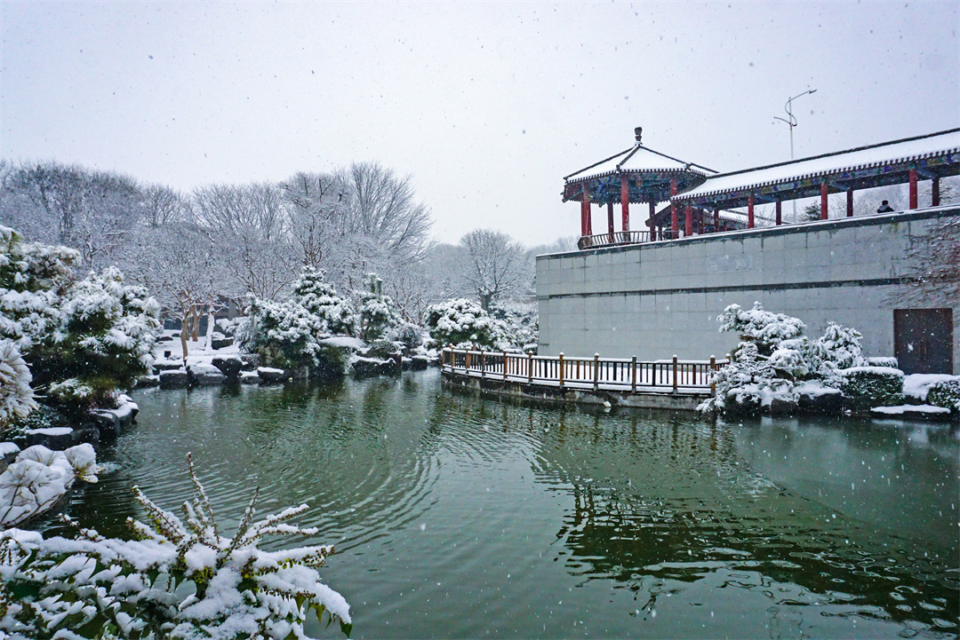 雪后唐苑宛如水墨画