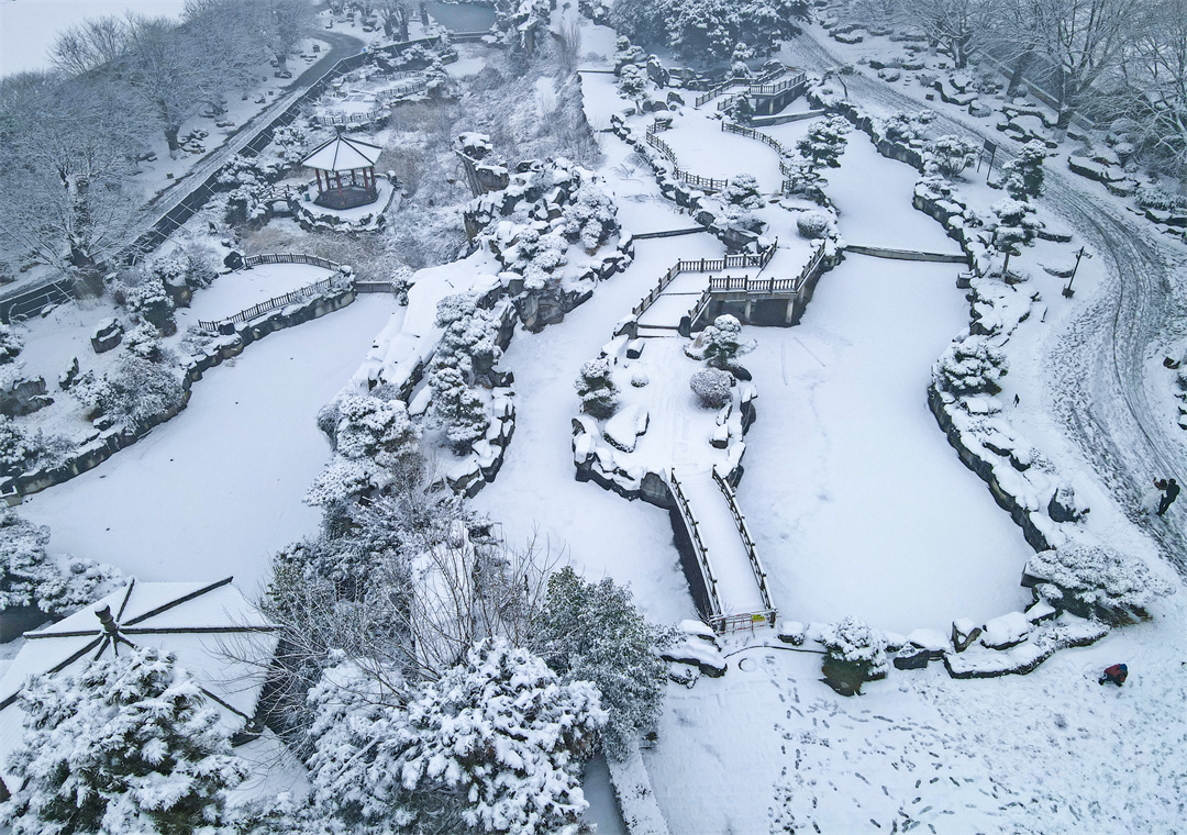 雪后唐苑宛如水墨画