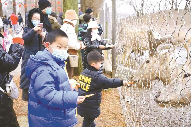 一大波鹽城特色活動共慶“地道中國年”_fororder_微信圖片_20240222093326